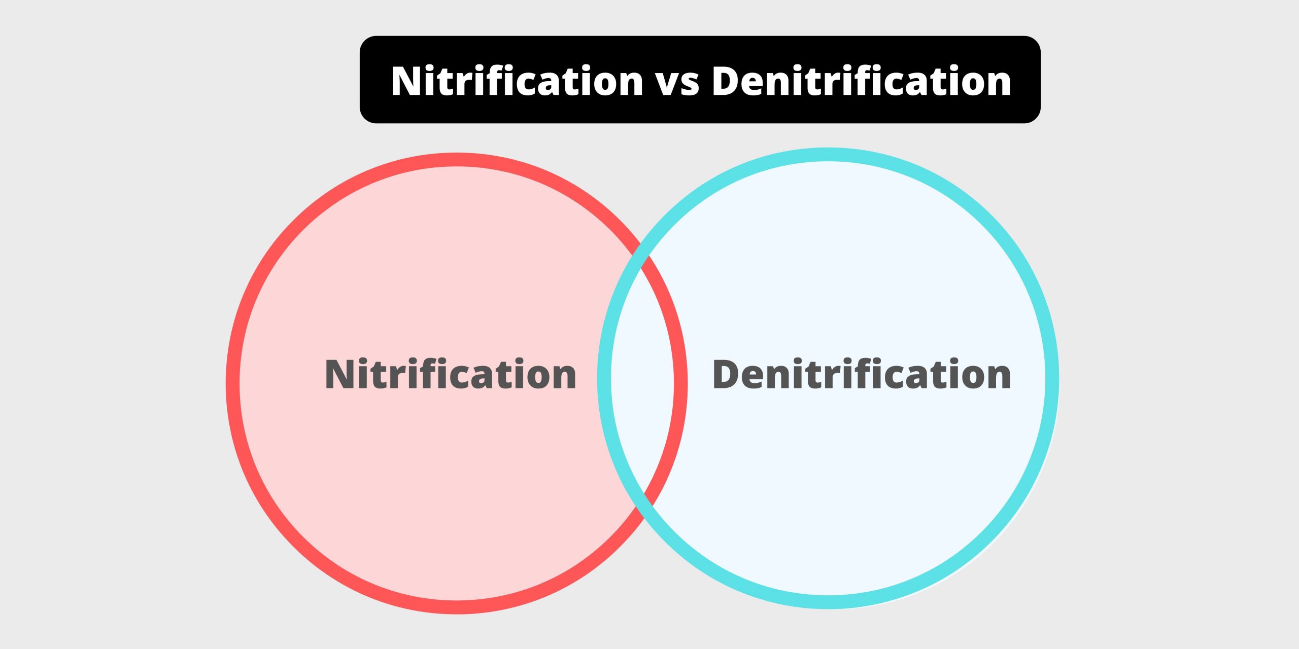 Differences Between Nitrification and Denitrification