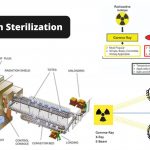Radiation Sterilization Types, Mechanism, Applications