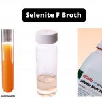 Selenite F Broth Composition, Principle, Preparation, Results, Uses