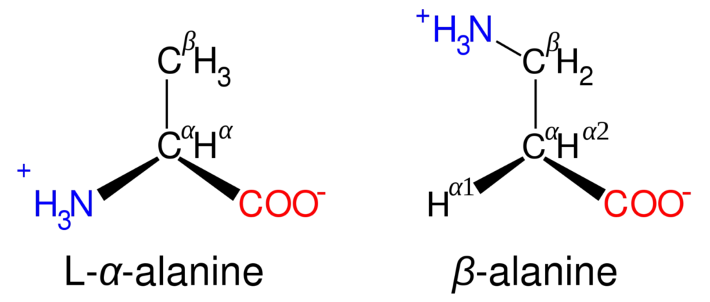 Structure of alanine isomers.