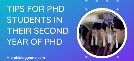 Tips for PhD students in their second year of PhD