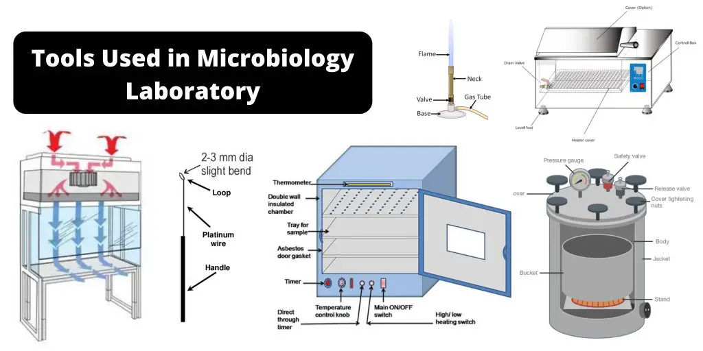 20 Mga Tool na Ginamit Sa Microbiology Laboratory