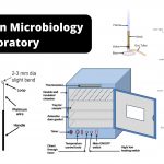Tools Used in Microbiology Laboratory