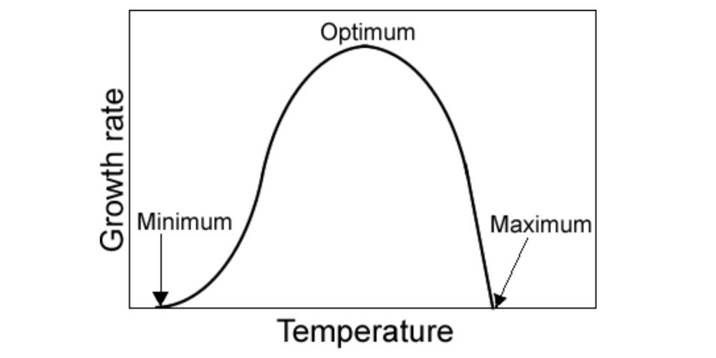 affect of temperature concentration bacterial growth