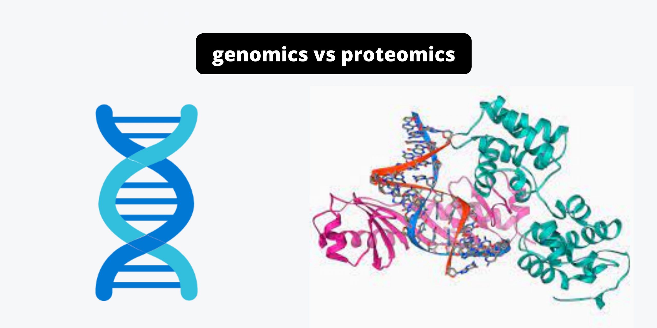 Differences Between Genomics and Proteomics