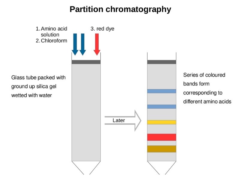 Partition chromatography