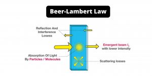 Beer-Lambert Law Definition, Derivation, and Limitations