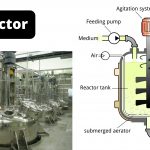 Bioreactor Definition, Design, Principle, Parts, Types, Applications, Limitations