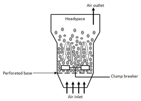 Scheme of a gas-solid fluidized-bed bioreactor
