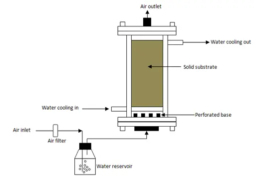 Scheme of a packed-bed bioreactor

