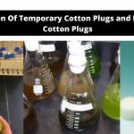 Preparation Of Temporary Cotton Plugs and Permanent Cotton Plugs