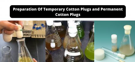 Preparation Of Temporary Cotton Plugs and Permanent Cotton Plugs