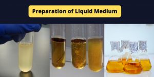 Preparation of Liquid Medium/broth