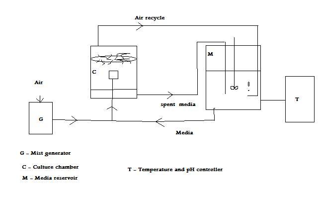 Mist Bioreactor diagram