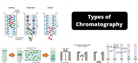 Types of Chromatography - Definition, Principle, Steps, Uses