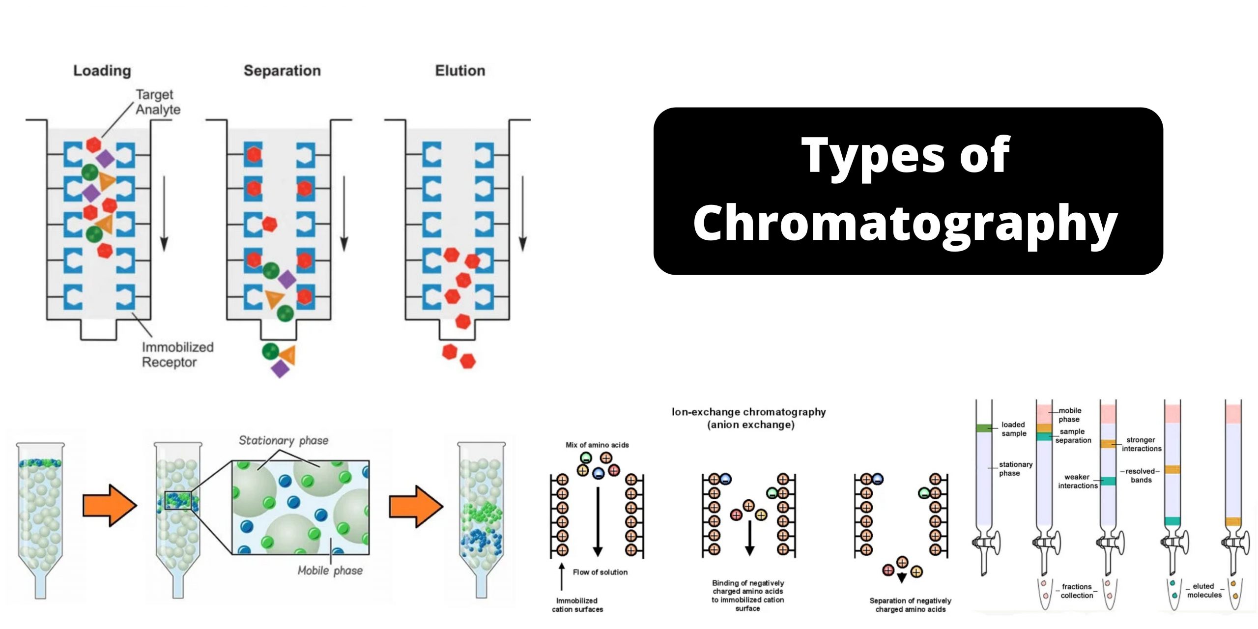Classification Of Chromatography