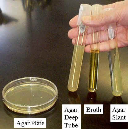Preparation of agar slants in culture tubes