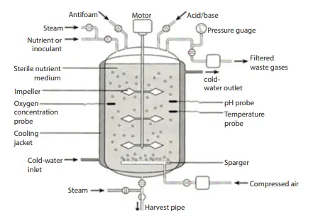 Different Parts of Bioreactor