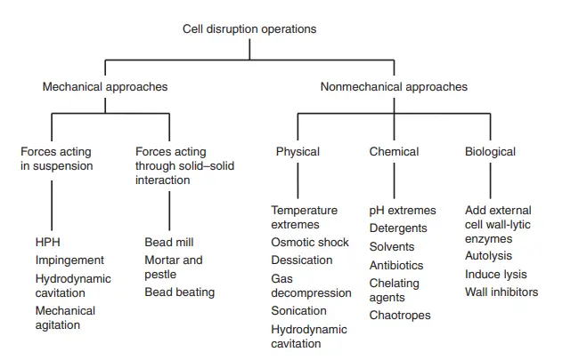 Methods of Cell Disruption
