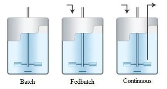 cultivation_process_types