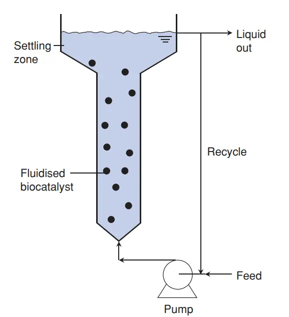 Fluidized Bed Bioreactor