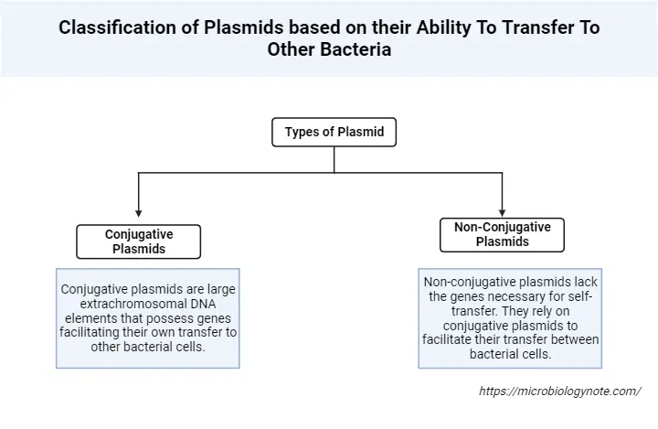 Classification of Plasmids based on their Ability To Transfer To Other Bacteria