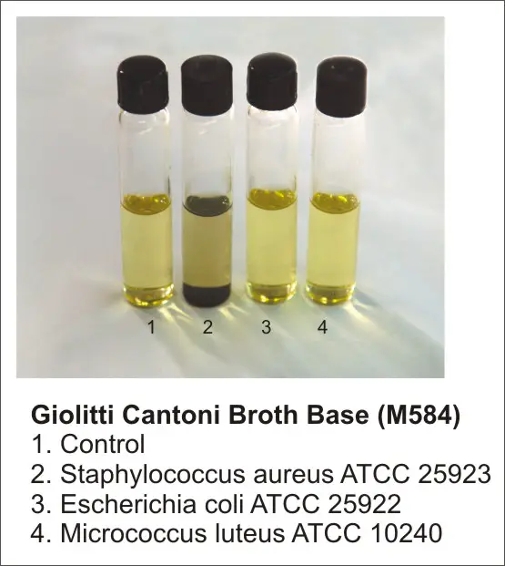 Giolitti-Cantoni Broth for Staphylococcus aureus result