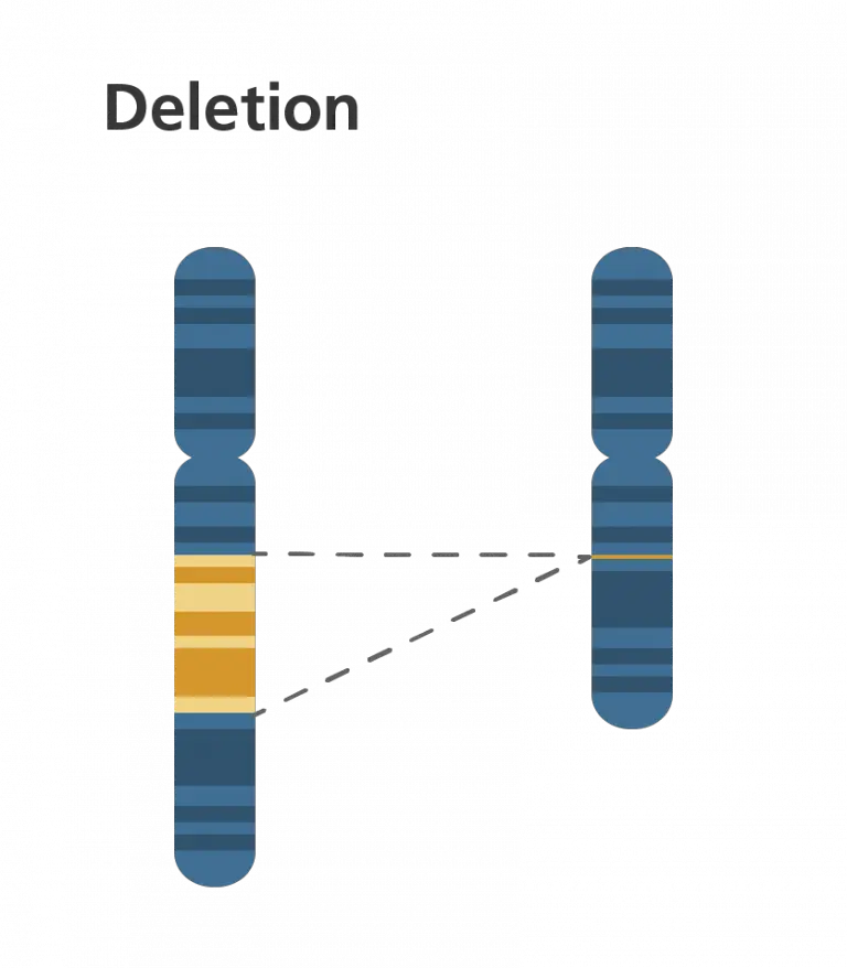 Хромосома. Делеция хромосомы. Делеция генов. Дупликация инверсия. Удвоение генов в хромосоме