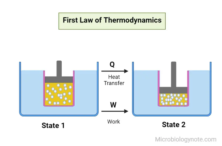 First Law Of Thermodynamics