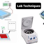 Top 13 Lab Techniques You Must Know