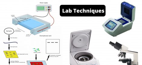 Top 13 Lab Techniques You Must Know