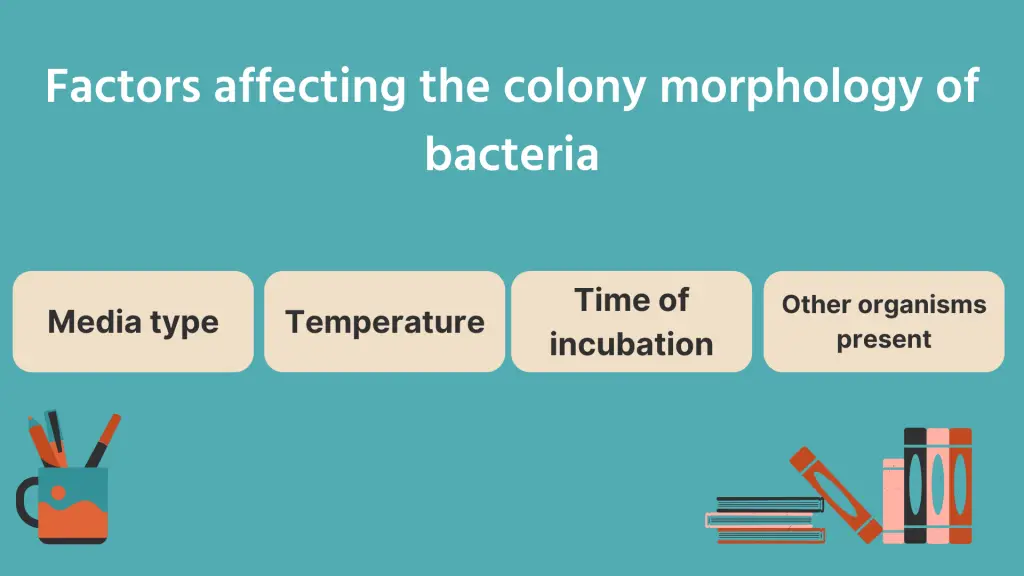 Factors affecting the colony morphology of bacteria