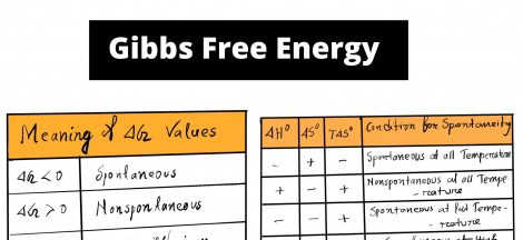 Gibbs Free Energy