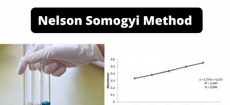 Nelson Somogyi Method for Determination of reducing sugars