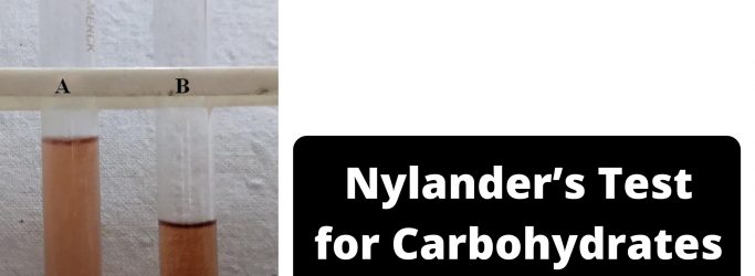 Nylander’s Test for Carbohydrates Principle, Procedure, Result