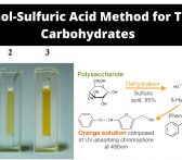 Phenol-Sulfuric Acid Method for Total Carbohydrates