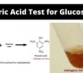 Picric Acid Test for Glucose - Principle, Procedure, Result