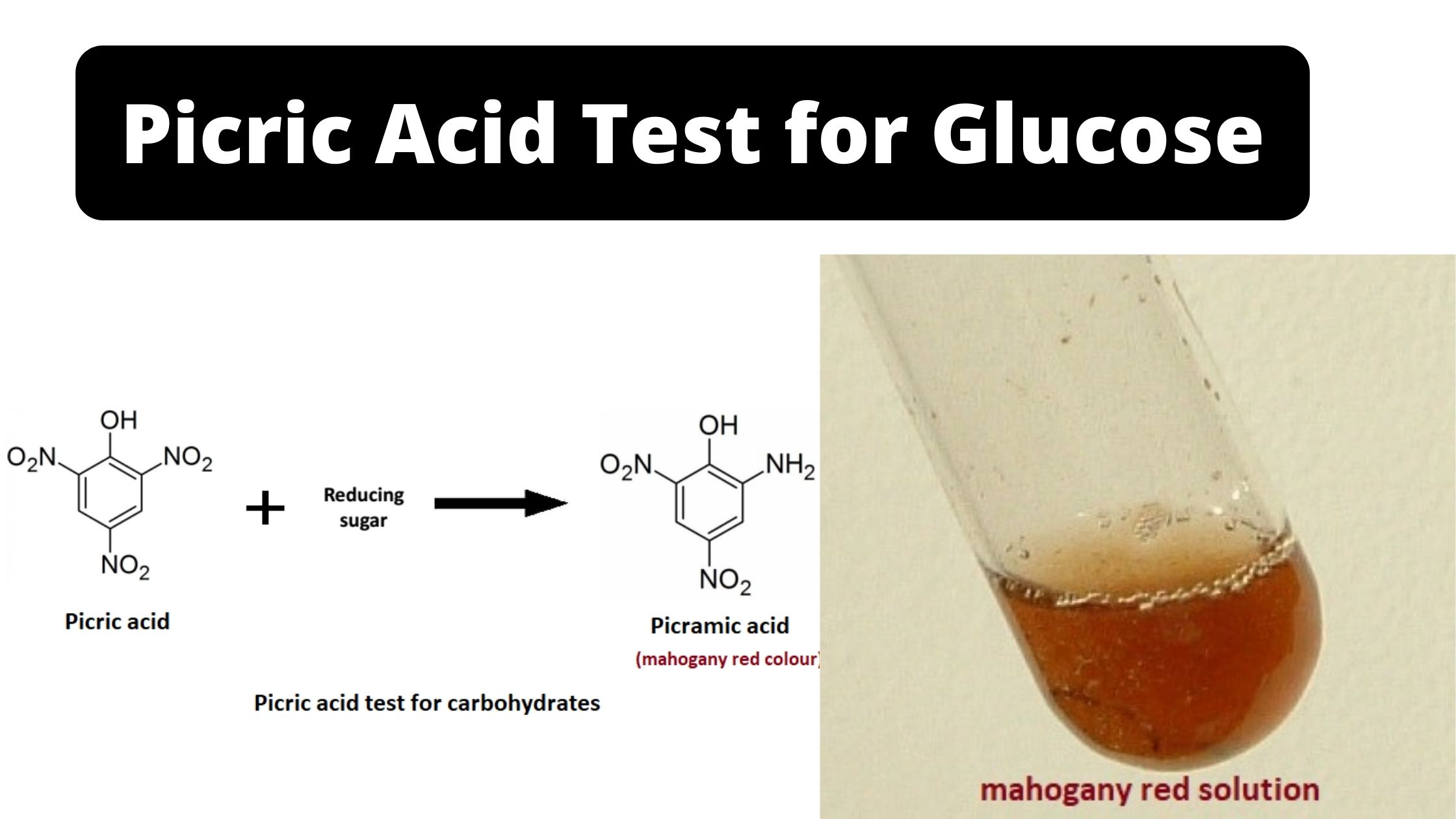 Picric Acid Test for Glucose - Principle, Procedure, Result