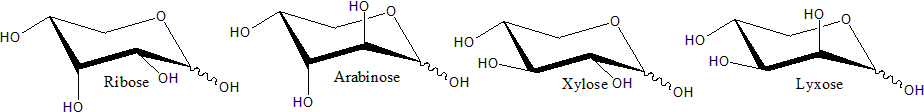 Pyranose forms of some pentose sugars
