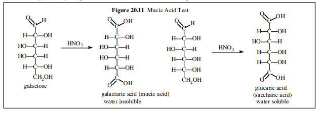 Mucic acid test reaction
