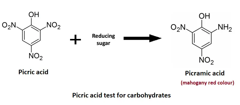 Principle of Picric Acid Test