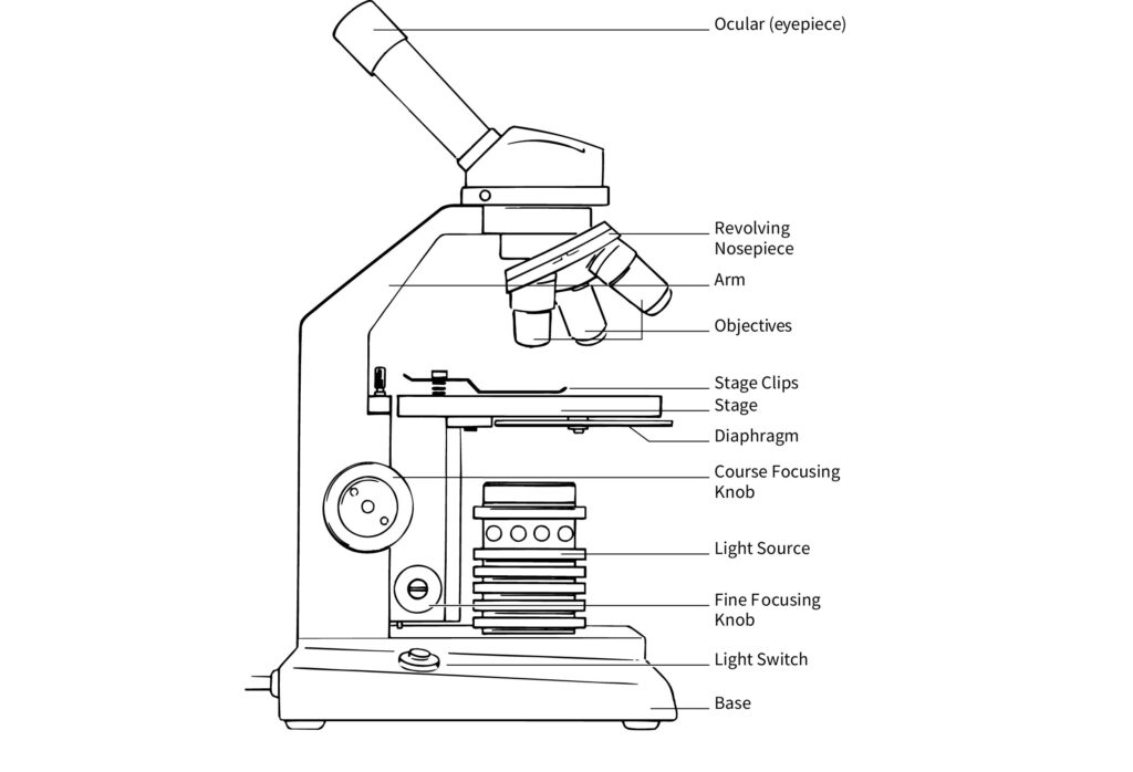 Parts of Compound Microscope