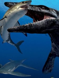 Top 15 Interesting Ocean Animal Adaptations
