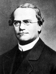Gregor Johann Mendel is known as the Father of Genetics