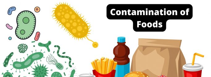Contamination of Foods