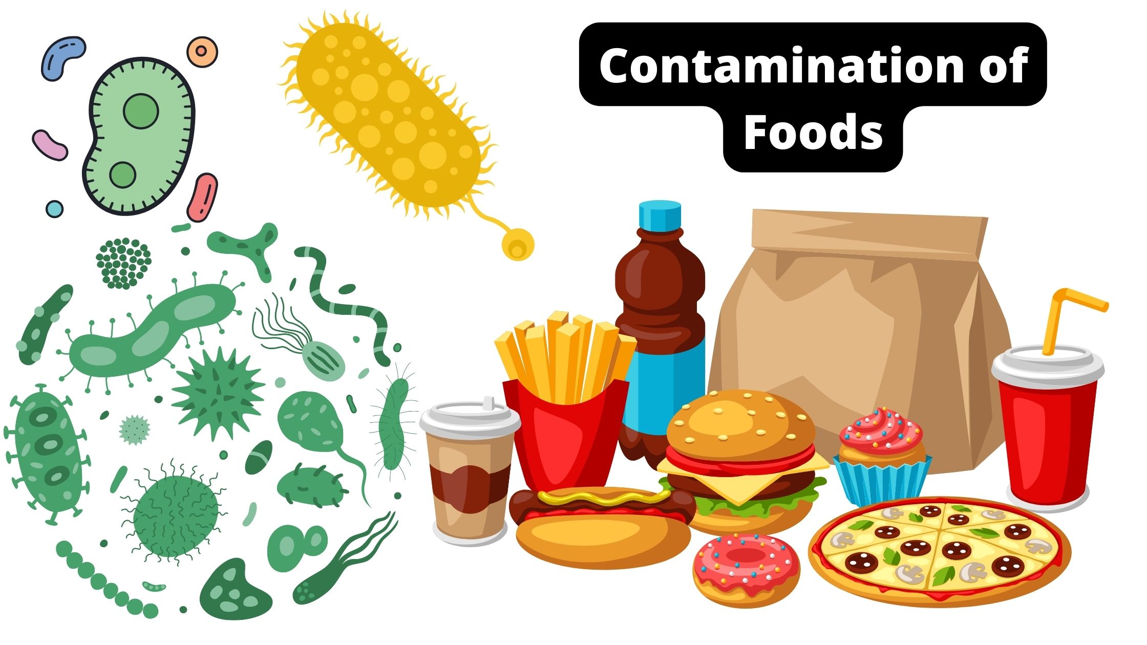 Contamination of Foods