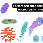 Factors Affecting The Growth Of Microorganisms In Foods