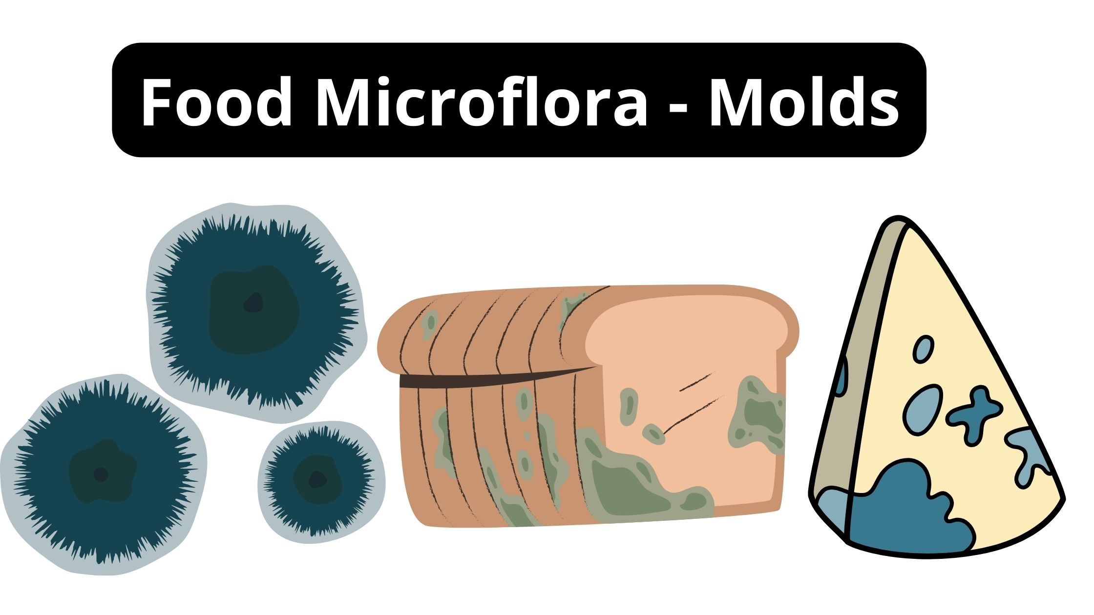 Food Microflora - Molds