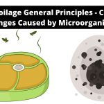 Food Spoilage General Principles - Chemical Changes Caused by Microorganisms