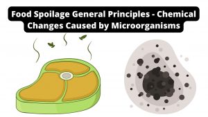 Food Spoilage General Principles - Chemical Changes Caused by Microorganisms